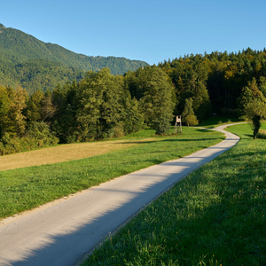 Brezje