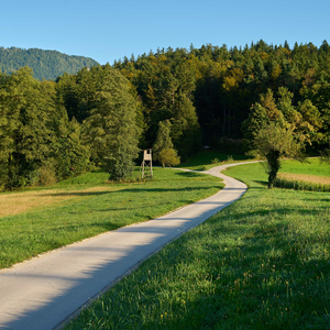 Brezje