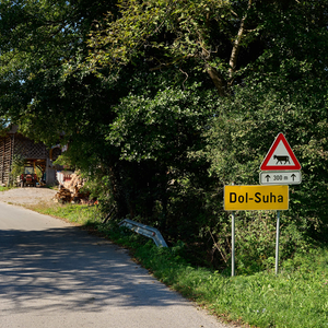 Dol-Suha