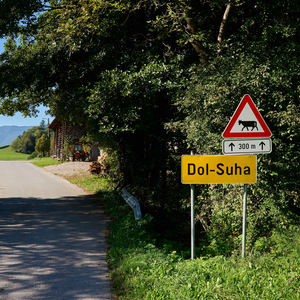 Dol-Suha