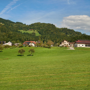 Florjan 
