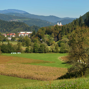 Kokarje