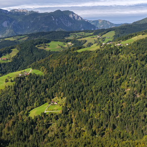 Konjski Vrh