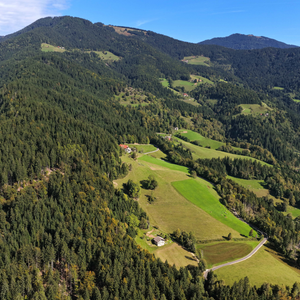 Konjski Vrh