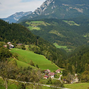 Krnica