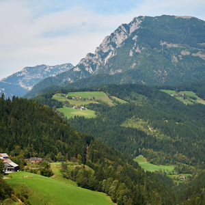 Krnica