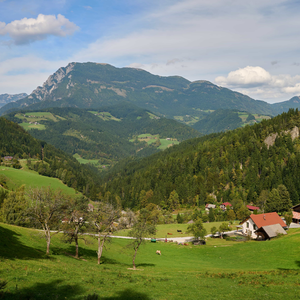 Krnica