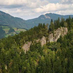 Krnica
