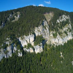 Ljubno ob Savinji