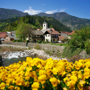 Luče