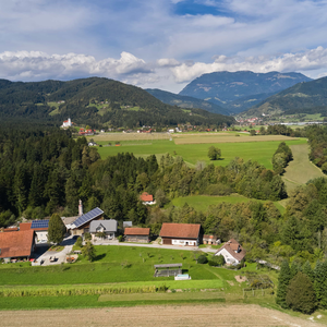 Meliše