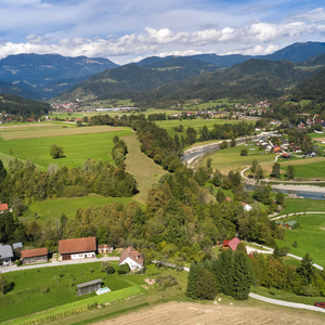 Meliše