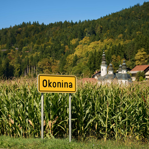 Okonina
