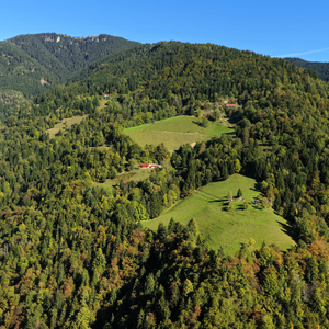 Planina
