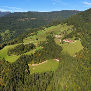 Planina