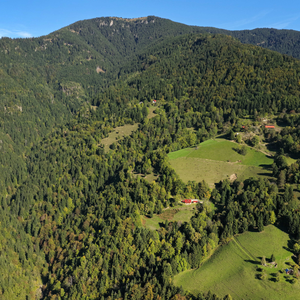 Planina