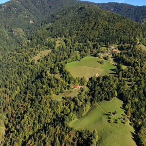 Planina