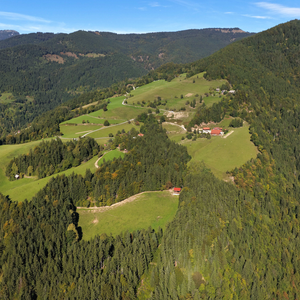 Planina