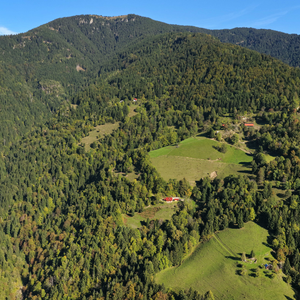 Planina
