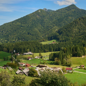 Podvolovljek