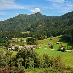 Podvolovljek