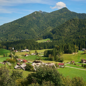 Podvolovljek