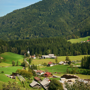 Podvolovljek