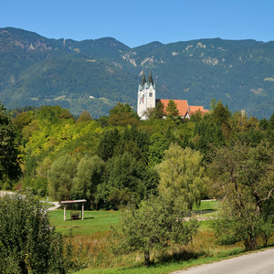 Nazarje