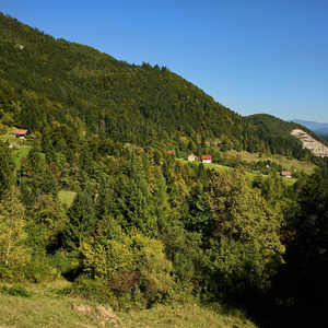 Poljane
