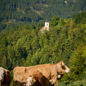 Radegunda