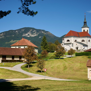 Radmirje