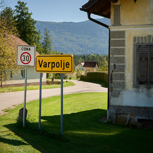 Varpolje