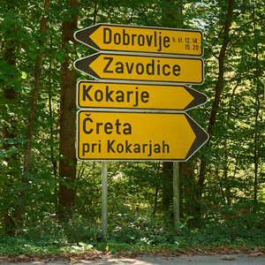 Zavodice