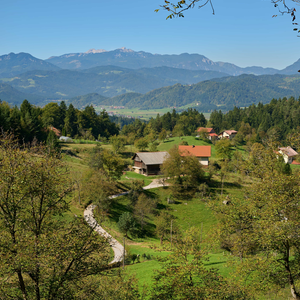 Zavodice