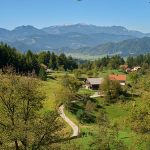 Zavodice