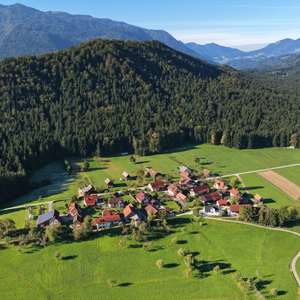Meliše