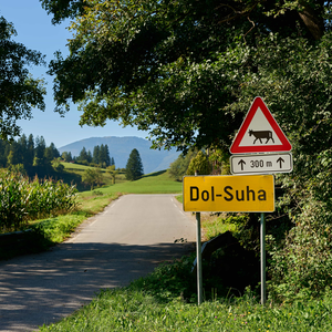 Dol-Suha