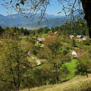Zavodice
