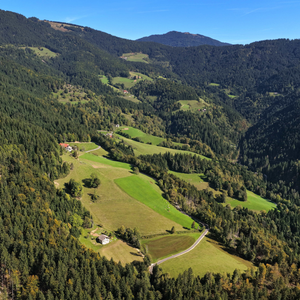 Konjski Vrh