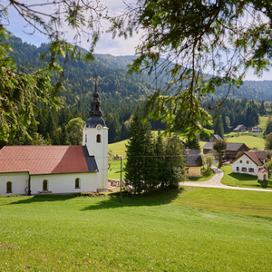 Podvolovljek