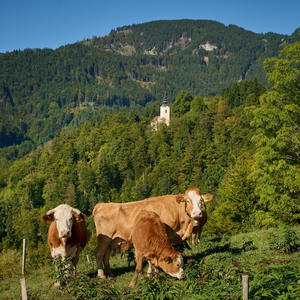 Radegunda