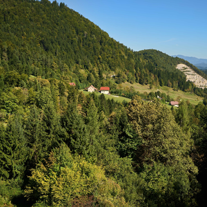 Poljane