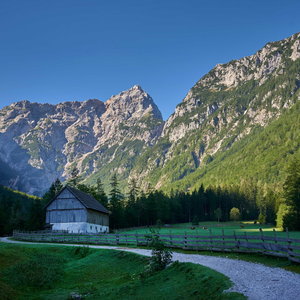Robanov kot
