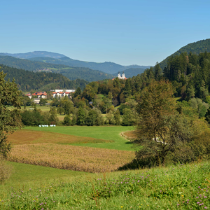 Kokarje