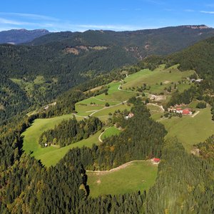 Planina