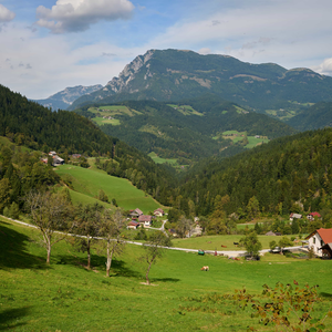 Krnica